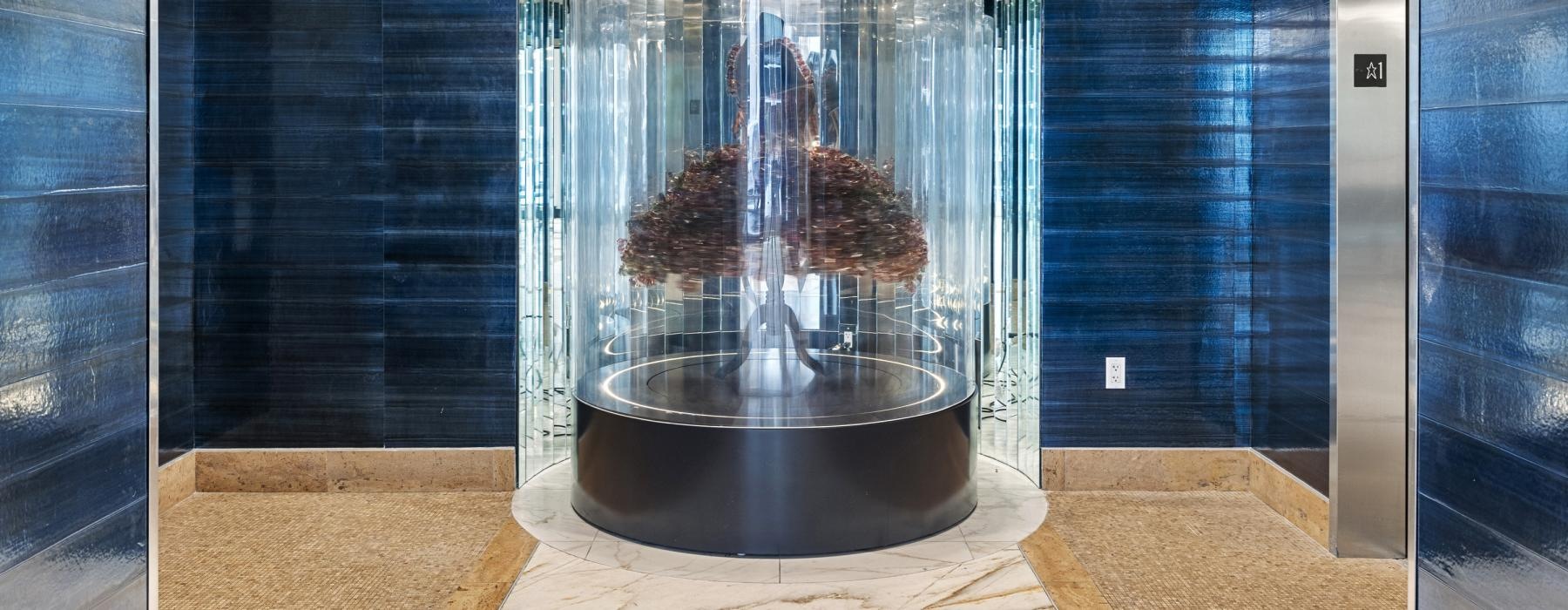 a fish tank in a glass case